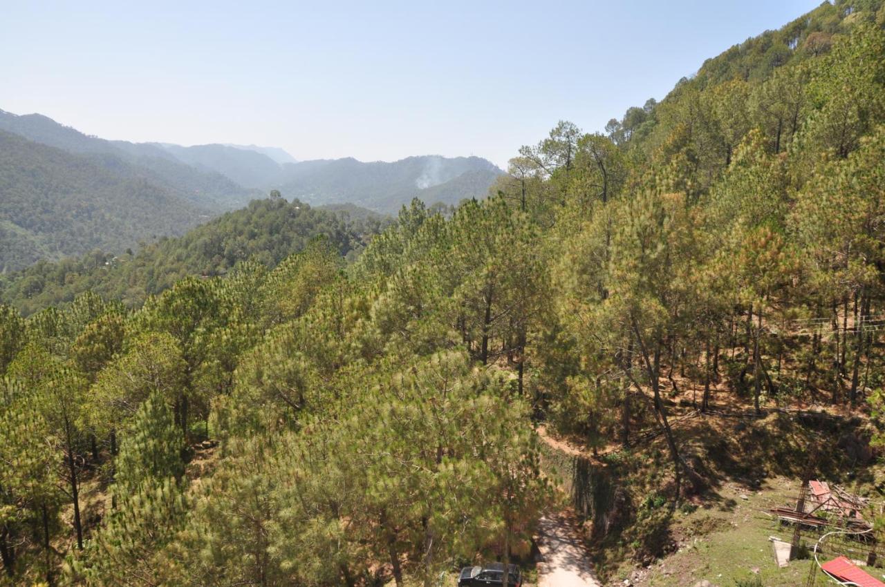 Pine Maderas By Embrace Lägenhet Kasauli Exteriör bild